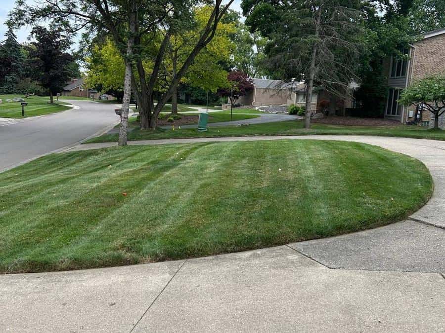 Corner lot cut and edged clean to the driveway