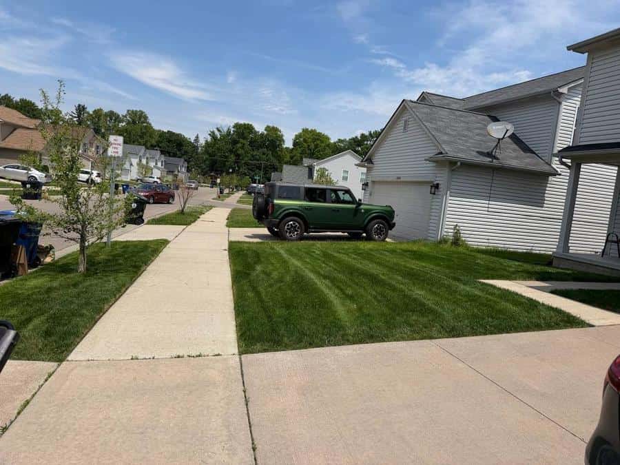 Front lawn cut and striped, Woolfman truck on the drive