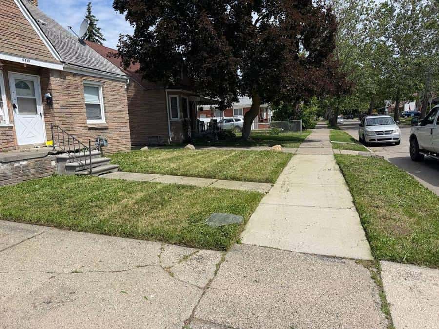 Front lawn and tree lawn cut down and edged